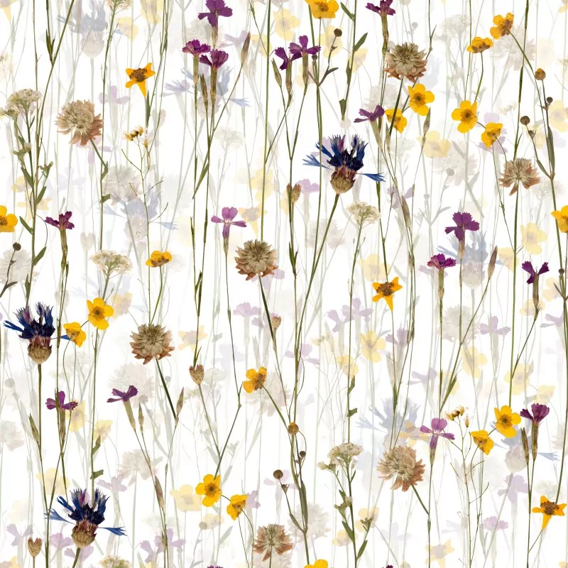 Povlak na polštářek SOFT 370833-102 - 50/50