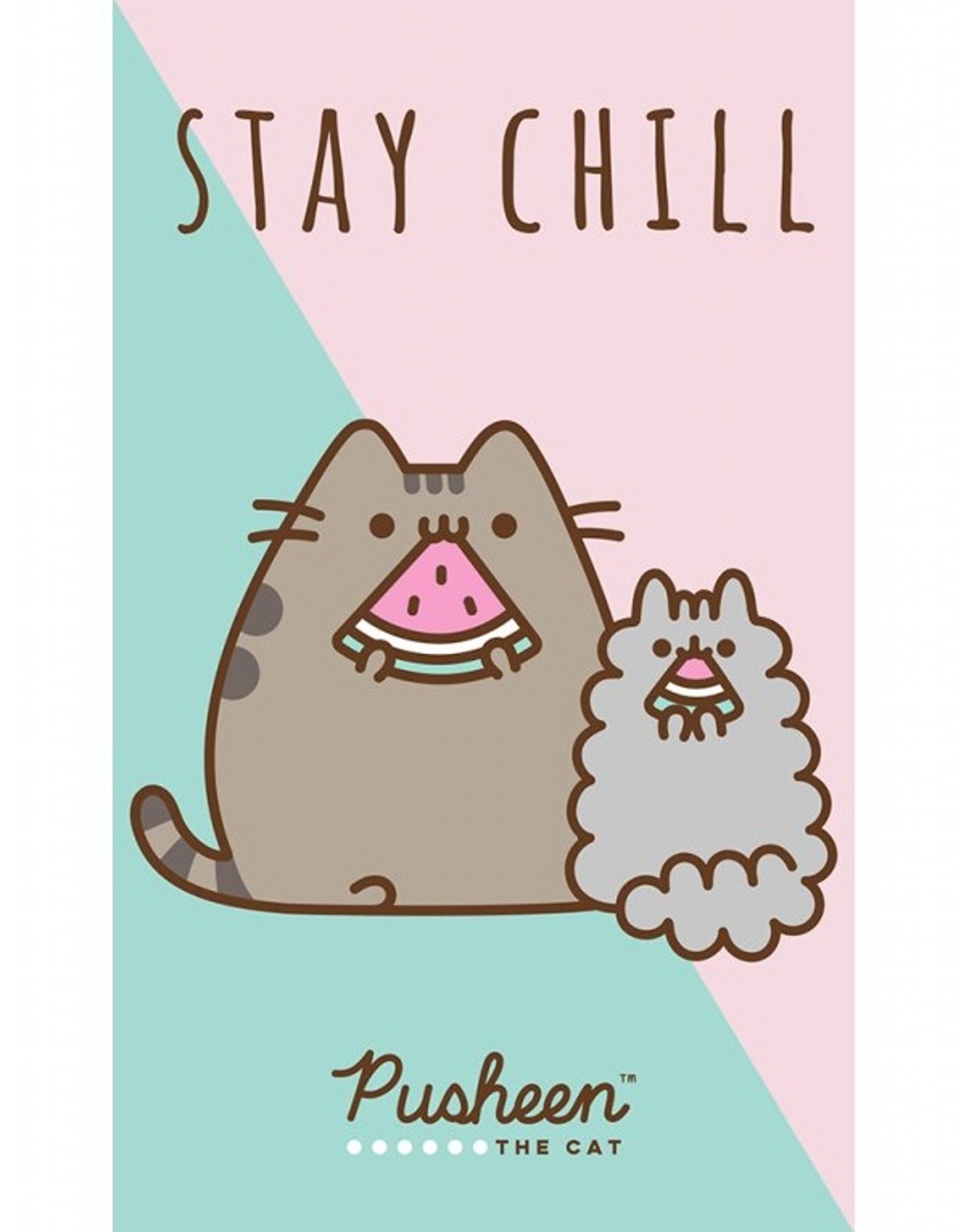 Dětský ručník Kočička Pusheen Stay Chill 30x50 cm