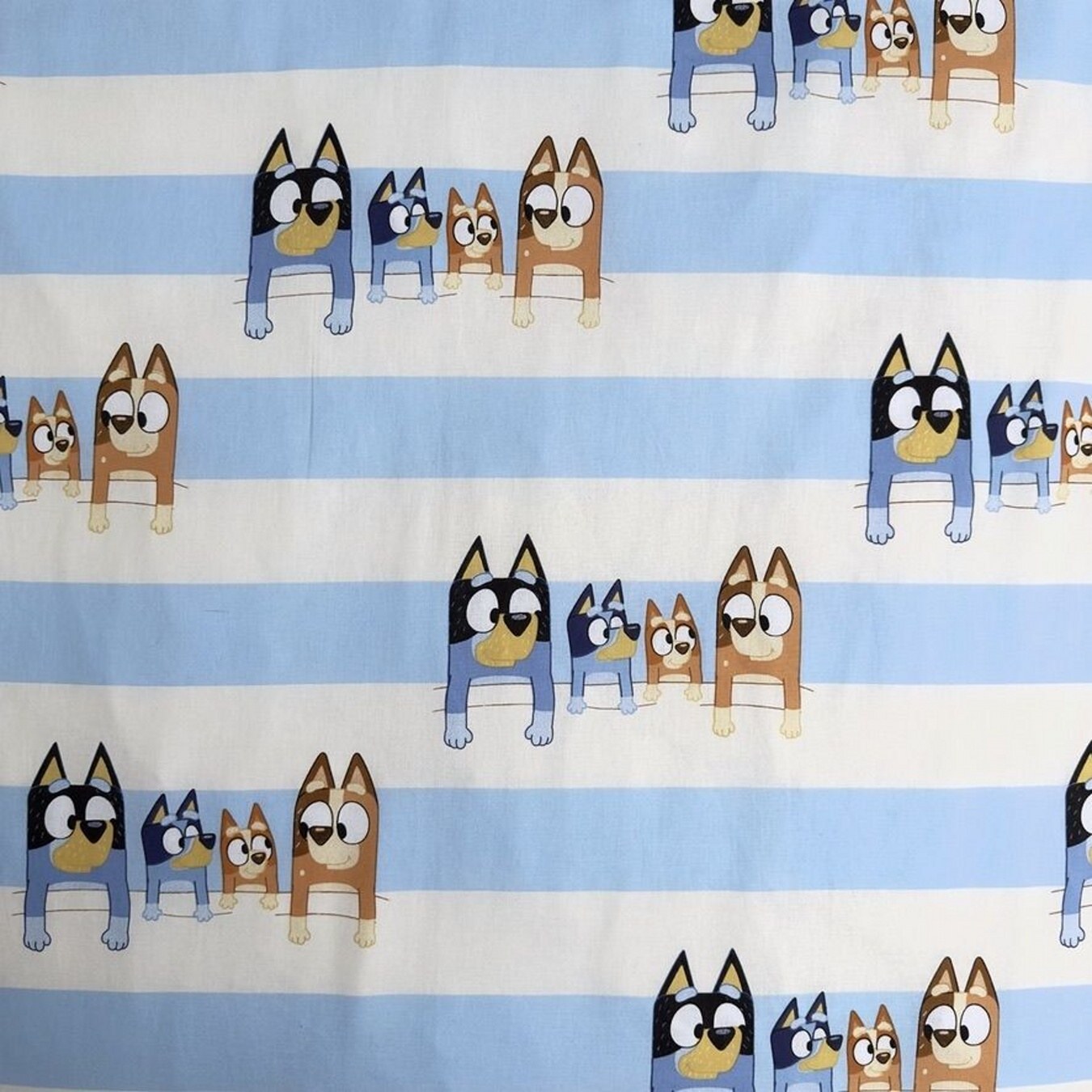Dětské povlečení Bluey 140x200, 70x90 cm