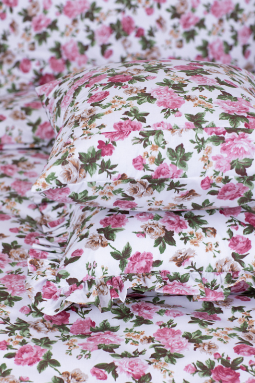 Povlak bavlna kanýr Renforcé RŮŽE RUSTIKÁL - 40/40