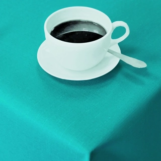 Teflonový ubrus 3015 tyrkysová STANDARD