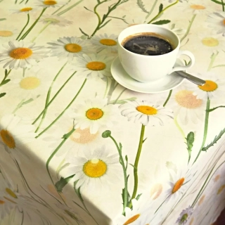 Ubrusy a běhouny SOFT 420354-102 - Kopretiny smetanové