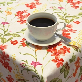 Ubrusy a běhouny SOFT 56095-1001