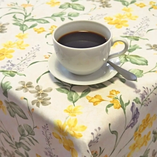 Ubrusy a běhouny SOFT 56095-1004