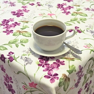 Ubrusy a běhouny SOFT 56095-1005