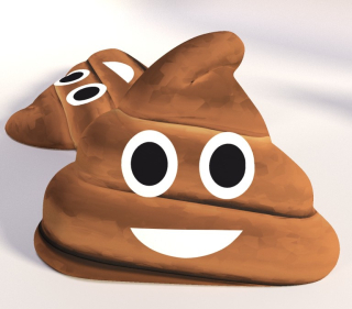 Dětský polštářek polyester - Hovínko - 40x30 cm