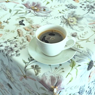 Ubrusy a běhouny SOFT 25003-101