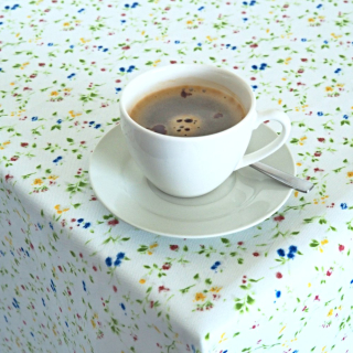 Ubrusy a běhouny SOFT 25079-101